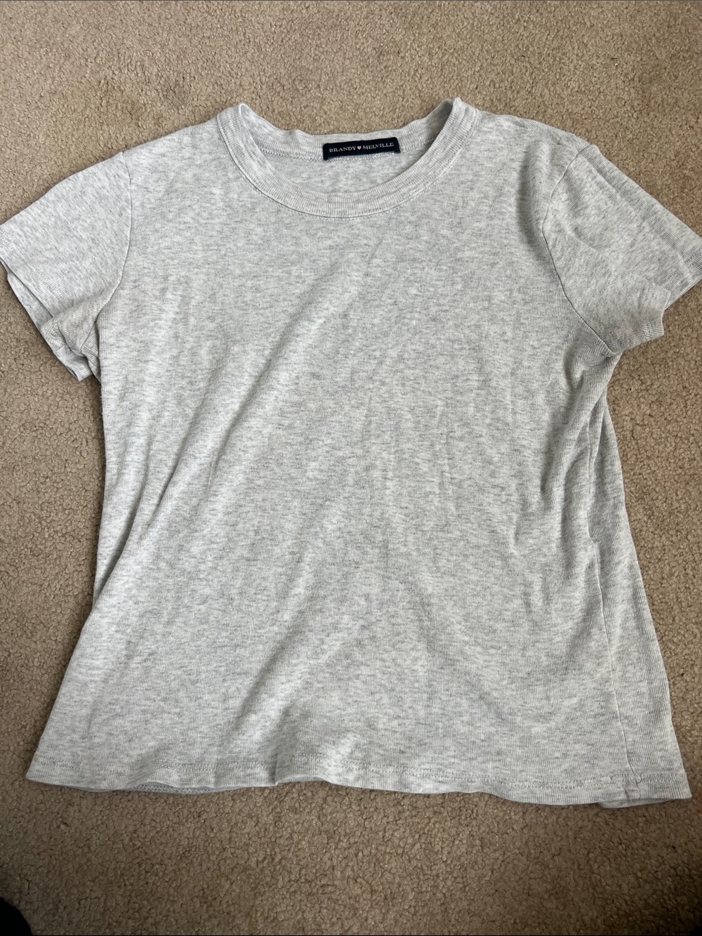 Brandy Melville Heather Gray Crewnecke Short Sleeve Top